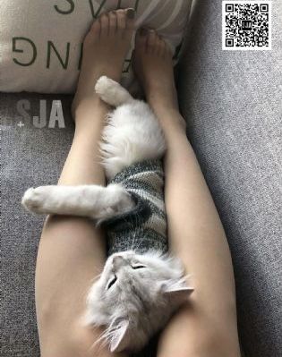 美女被人操网站_DVD视频大全