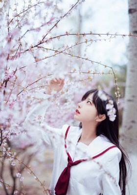 厨房掀开馊了裙子挺进视频_蓝光完整视频观看